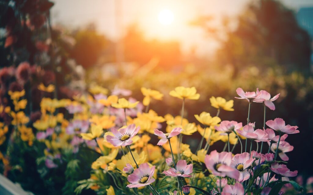 Gartenarbeit