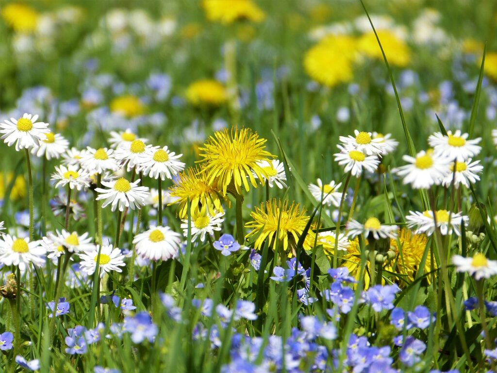 Garten düngen