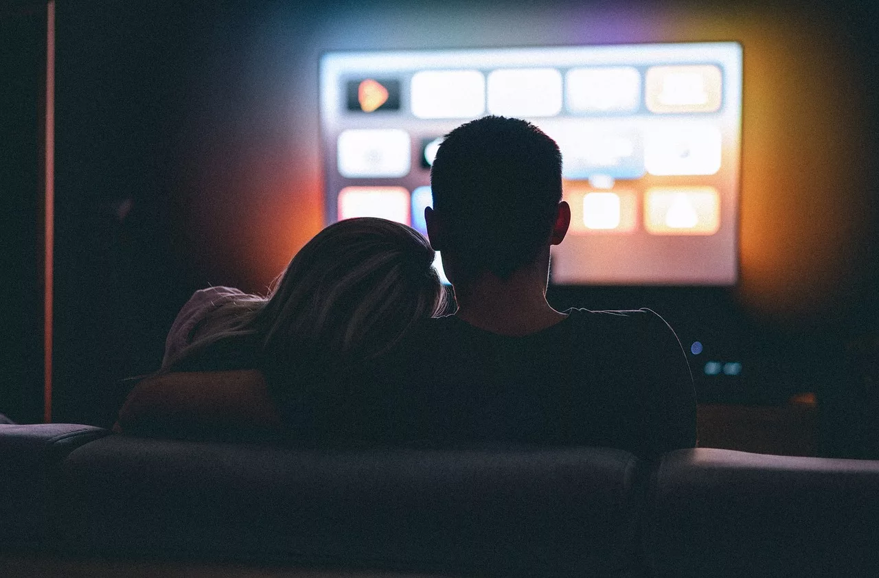 fernseher