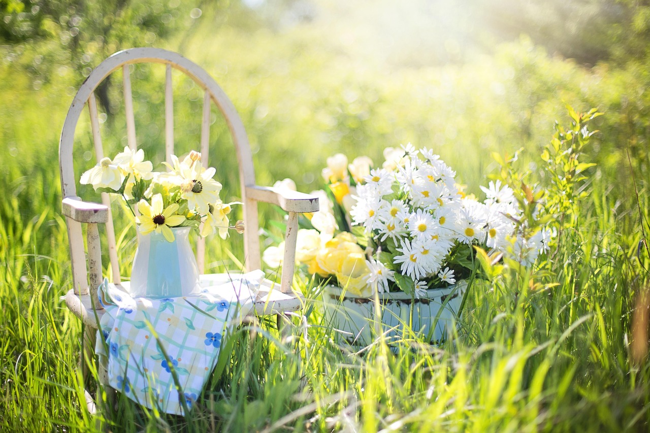Garten-Blog